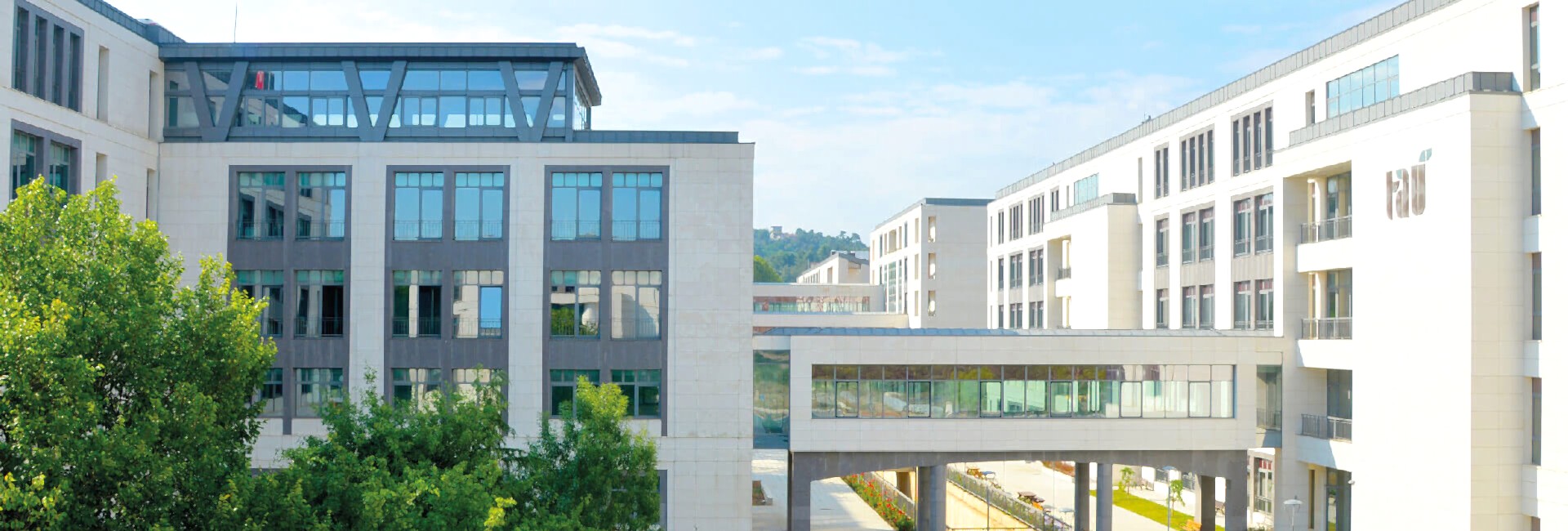 travertine and limestone products