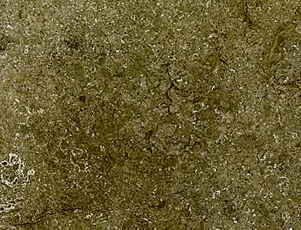 Giallo Tabae Limestone