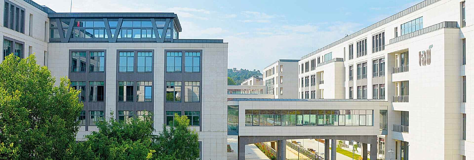 travertine and limestone products