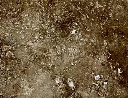 Golden Walnut Traverten